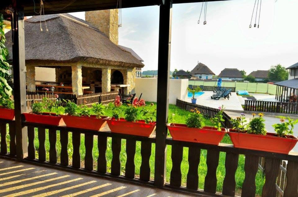 Pensiunea Miasor Hotel Murighiol Exterior photo